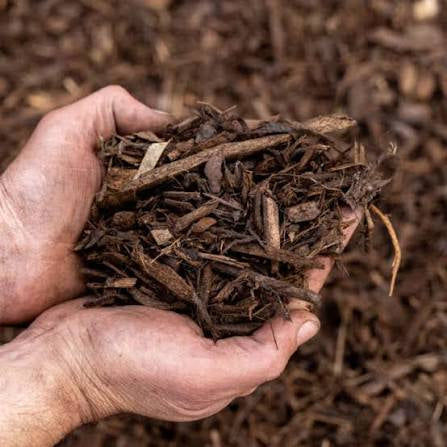 Bark Mulch