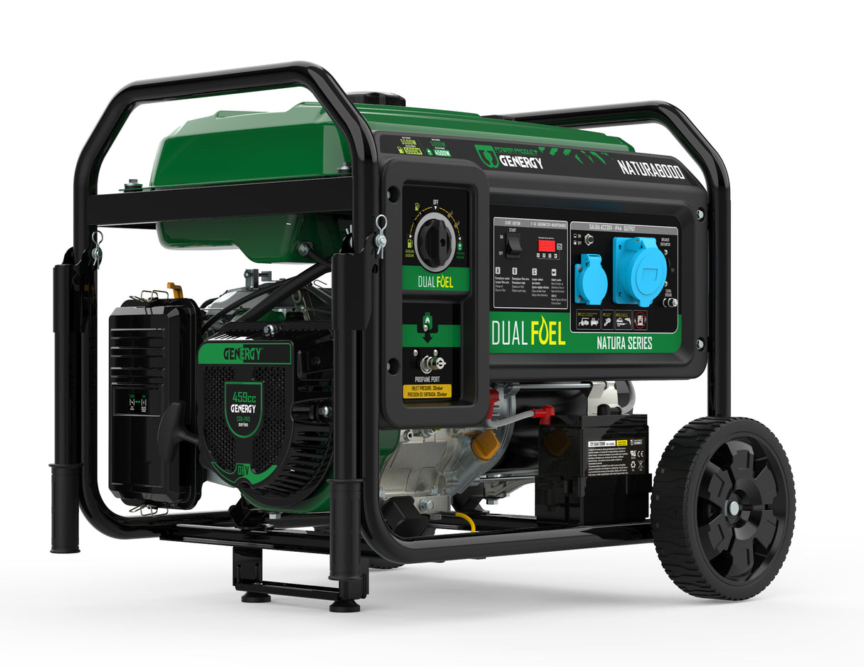 Energy Natura 8000w Generator